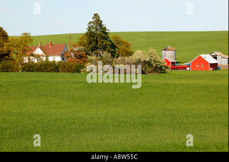 Eine Scheune und anderen Gebäuden auf landwirtschaftlichen Flächen in der Nähe von Ritzville Eastern Washington Stockfoto