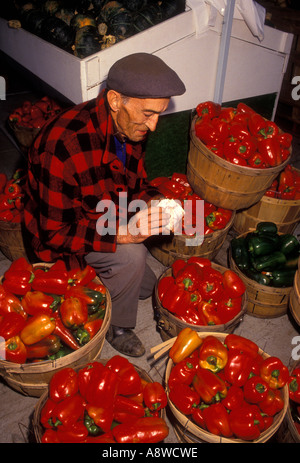 Französisch-kanadischen Mann, franko-kanadischer, Mann, erwachsener Mann, reifer Mann, Verkäufer, Verkauf, rote Paprika, Atwater Market, Montreal, Québec, Kanada Stockfoto