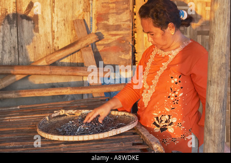 Frau Fisch zum Trocknen auslegen Stockfoto