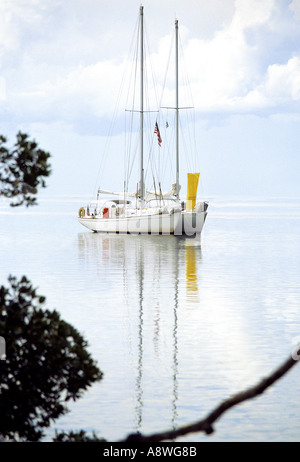 Segelboot mit den Segeln nach unten nahe dem Ufer in Biscayne Bay Miami Florida Stockfoto