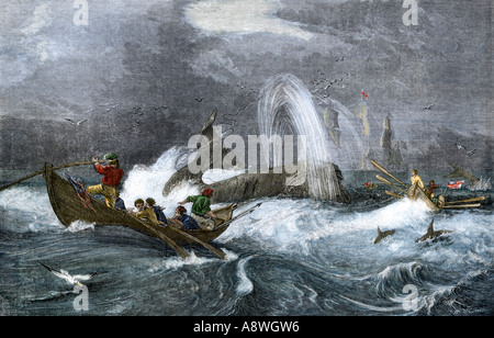 South Sea Walfang in den 1800er Jahren. Hand - farbige Holzschnitt Stockfoto