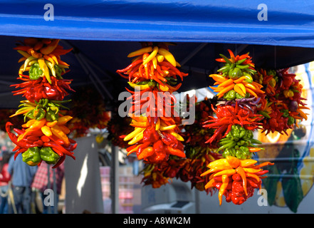 Bunte Chili auf einem Straßenmarkt, Seattle WA Stockfoto