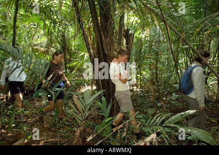 Eine Gruppe von Touristen durch brasilianische Regenwald wandern. Stockfoto