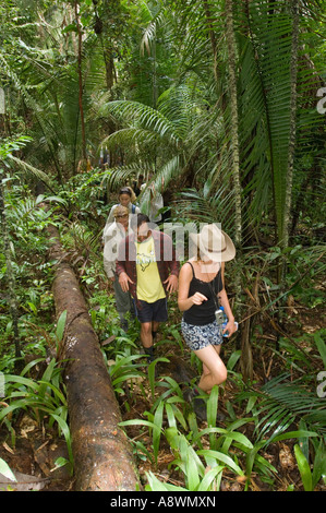 Eine Gruppe von Touristen durch brasilianische Regenwald wandern. Stockfoto