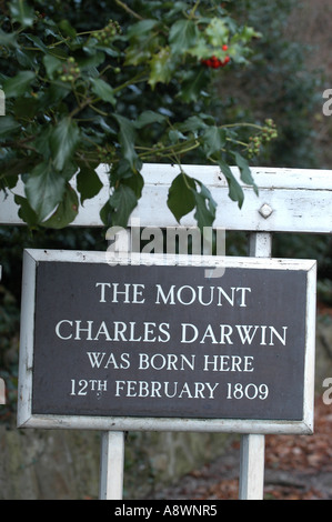 Gedenktafel an der Halterung, Charles Darwin' s Geburtshaus in Shrewsbury, Shropshire, UK. Stockfoto