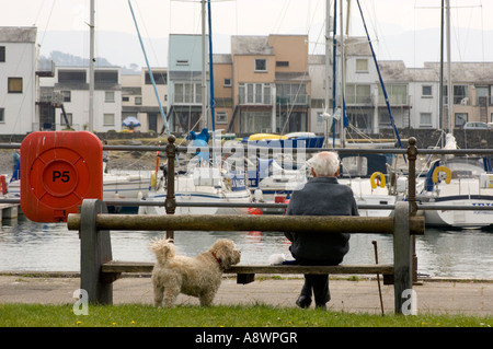 Mann, sitzend auf Bank mit seinem Hund in der Marina-Blick auf Boote Porthmadog Gwynedd Snowdonia-Nationalpark Nord wales UK Stockfoto