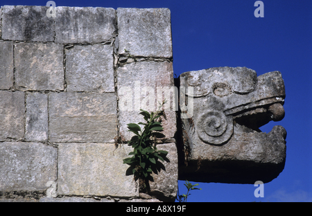 Chichen Itza, Yucatan, Mexiko - Der Tempel der Jaguare Stockfoto