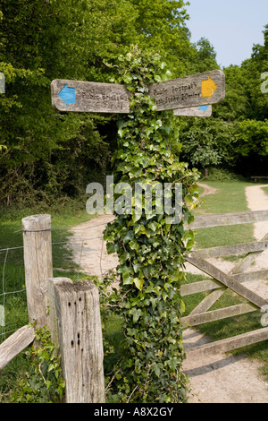 Öffentlichen Fußweg Schild am Eingang zu Kingley Vale, Sussex, UK. Stockfoto