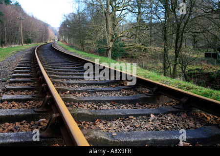 Lakeside & Haverthwaite eingleisigen Eisenbahnstrecke im englischen Lake District, cumbria Stockfoto