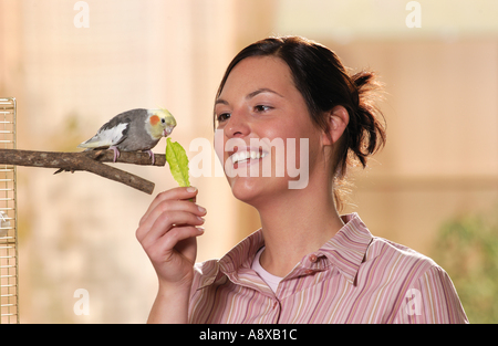 Frau, Fütterung Nymphensittich (Nymphicus Hollandicus) mit einem Blatt Stockfoto