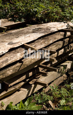 Planken aus Schnittholz Eiche gestapelt außerhalb, natürlich im Jahr Saison Stockfoto