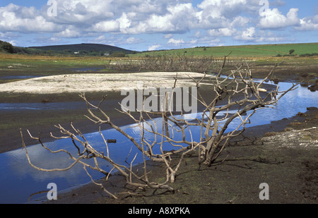 Sehr niedrigen Wassers in Colliford Reservoir in Cornwall England Stockfoto