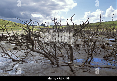 Sehr niedrigen Wassers in Colliford Reservoir in Cornwall England Stockfoto