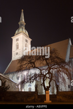 St Martins Kathedrale Bratislava, geweiht im Jahre 1452, in der Nacht Stockfoto