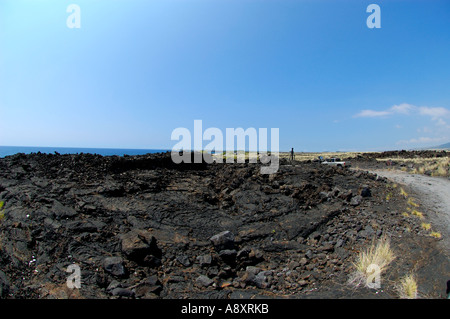 Pinetrees Kohanaiki vor der O Oma Projekt Kona Küste Hawaiis Big Island Stockfoto