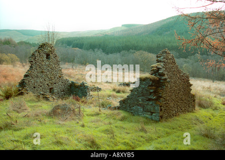 Ty Garreg Bauernhof, wo die letzte Bewohner lebten über 100 Jahre, alten Tywi Wald Powys Mid Wales UK Stockfoto