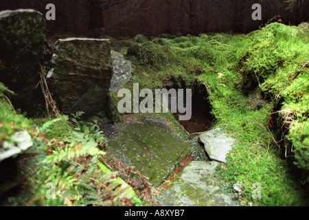 Alten und geheimnisvollen Wasser gut versteckt in Tywi Wald Mitte Wales Großbritannien Stockfoto