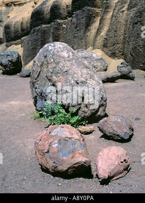 Vulkanische Bomben, Puy de Lemptegy, Auvergne, Frankreich. Stockfoto