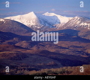 Stob Coire Na Ceannain und Stob Chor Claurigh grau Hochgebirgsflora, Lochaber, Highland, Schottland, Großbritannien Stockfoto