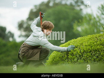 Mann macht Gartenarbeit, Inspektion Busch Stockfoto