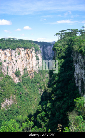 Canyon tun Itaimbezinho in den Parque Nacional Dos Aparados da Serra, Brasilien Stockfoto