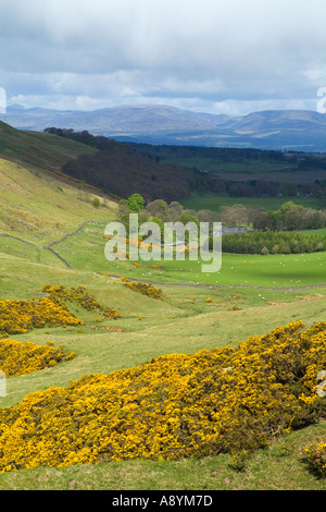 dh Logierait Glen ADLERS PERTHSHIRE SCHOTTLAND Scottish Valley Yellow Gorse Farmland Glen Eagles Estate Szene Land Stockfoto