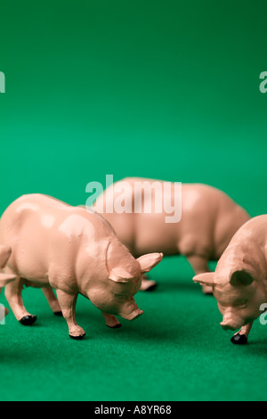 Freilandhaltung Schwein Schwein Schwein Schinken Speck organischen Schlamm schlammigen Landwirtschaft ländliche Tierhaltung Walzen in Schlamm so glücklich wie ein Oink freerange Stockfoto