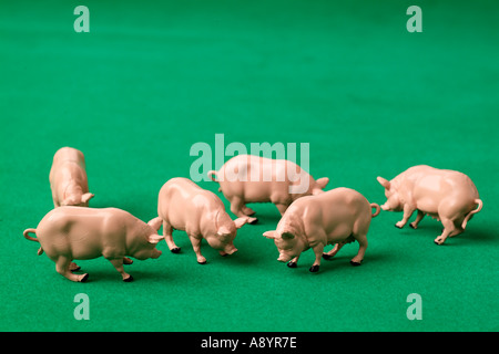 Freilandhaltung Schwein Schwein Schwein Schinken Speck organischen Schlamm schlammigen Landwirtschaft ländliche Tierhaltung Walzen in Schlamm so glücklich wie ein Oink freerange Stockfoto