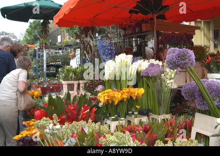 Columbia Road Flower Market London E2 UK Stockfoto