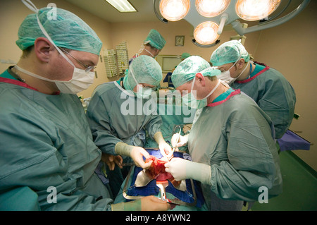 Chirurgen Bauchchirurgie Krebs Operation OP-Saal Stockfoto