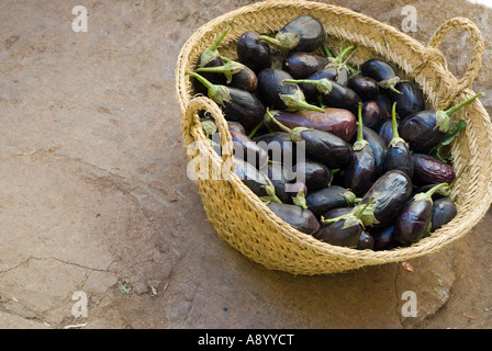 Dunkele lila Auberginen erwarten Kauf in einem gewebten Rasen-Korb auf dem Markt. Fez, Marokko. Stockfoto