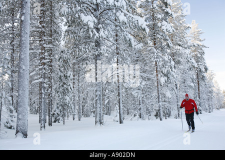 Einsamer Langlaufer in der arktischen Natur Lapplands. Stockfoto