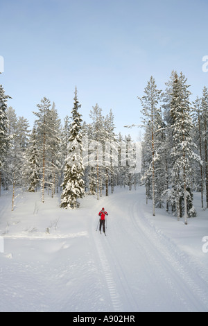 Einsamer Langlaufer in der arktischen Natur Lapplands. Stockfoto