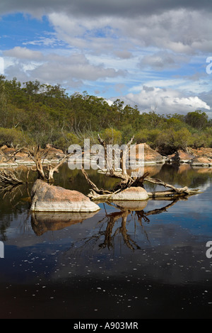 Felsbrocken und tote Bäume spiegeln sich in einer australischen outback Billabong oder Fluss-pool Stockfoto