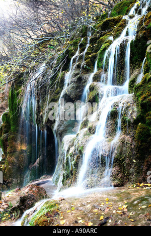 Quelle des Flusses Cuervo. Alta Serranía. Cuenca. Spanien Stockfoto