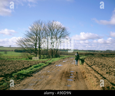 Dogwalker auf öffentlichen Fußweg und Farmtrack in Lincolnshire Wolds Stockfoto