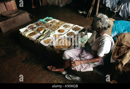 Essen Indien Goa Panaji Panjim Marktstand Fisch Stockfoto