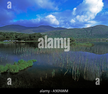 irische Süßwasser-See, umgeben von Irlands höchsten Bergen, Schönheit in der Natur, Stockfoto