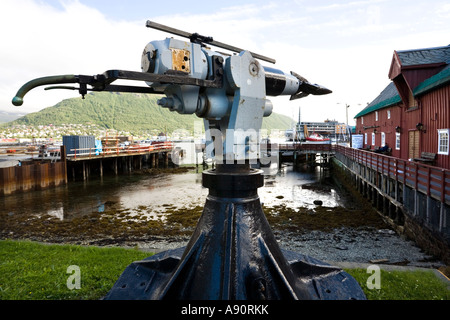 Walfang Harpune Gewehr außerhalb das Polar Museum (Polarmuseet) in Tromsø, Norwegen Stockfoto