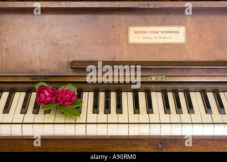 Chopin-Museum von Mallorca Kartause Valdemossa Klavier Rosen Stockfoto