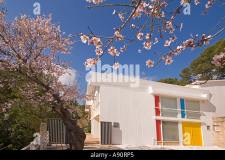 Mallorca Miro Stiftung Museum Atelier im freien Mandelblüte Stockfoto