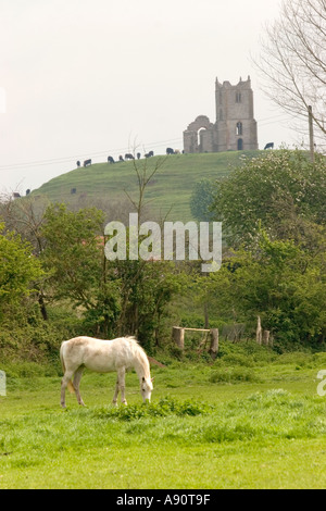 England Somerset Burrow Brücke Pferd grasen unter Graben prahlen St Michaels Hügel Kapelle Stockfoto