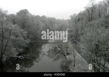 Frost überdacht im Winter Glasgow Schottland Bäume und der Fluss Kelvin Stockfoto