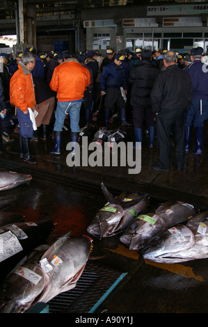 Großhandel Fischmarkt Thunfisch Hon Shiogama Stockfoto