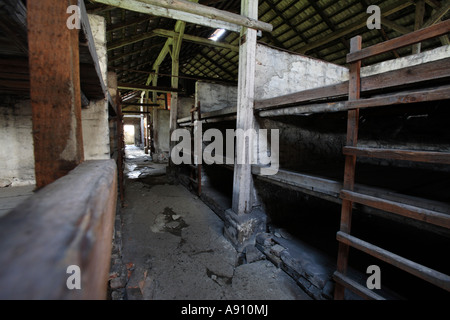 In den Baracken in Auschwitz II (Birkenau), Polen Stockfoto