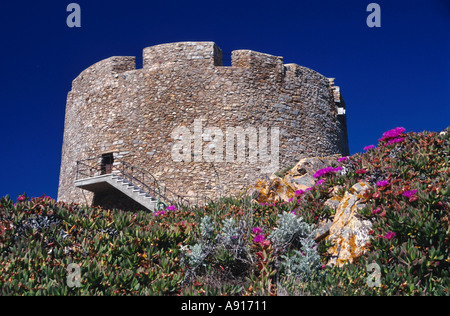 Italien Sardinien 16 th Jahrhundert Turm Torre Longosardo in der Nähe von Santa Teresa di Gallura Norden der Insel Stockfoto