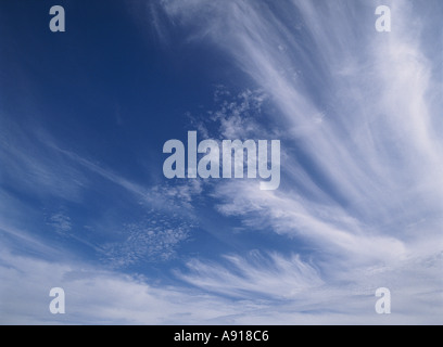 dh Wolke HIMMEL WETTER White Whispy Wolke blauen Himmel Copyspace Hintergrund Textur Cirrus Wolken Hintergrund mit Muster Stockfoto