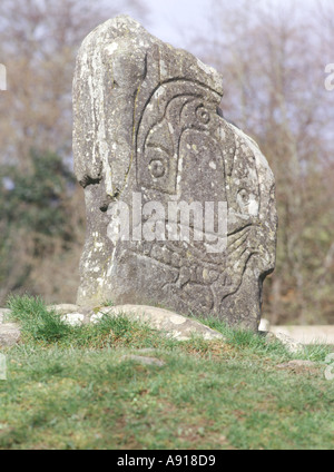 dh Eagle Stone scotland STRATHPEFFER ROSS CROMARTY Celtic Pictish Art pictish geschnitzte Pictsteiner stehende Steine Schnitzsymbol Stockfoto