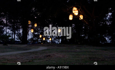 Dekorative Lampen hängen in den Bäumen am Surin Strand in Phuket Thailand Stockfoto