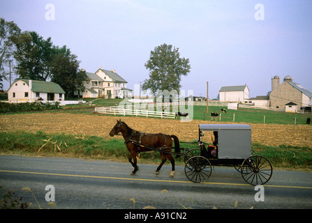 Pferdekutsche Buggy Amischen in Lancaster County, Pennsylvania. Stockfoto